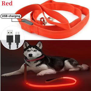Glowing Led Dog Leash