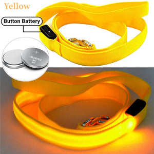 Glowing Led Dog Leash