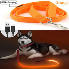 Load image into Gallery viewer, Glowing Led Dog Leash
