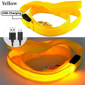 Glowing Led Dog Leash