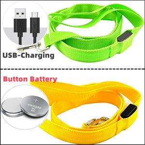 Glowing Led Dog Leash