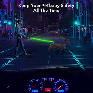 Glowing Led Dog Leash