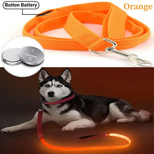 Glowing Led Dog Leash