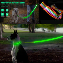Load image into Gallery viewer, Glowing Led Dog Leash